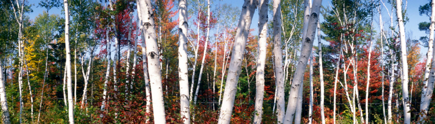 Brockton Oms Practice Oral And Maxilliofacial Surgery Brockton Ma 02301